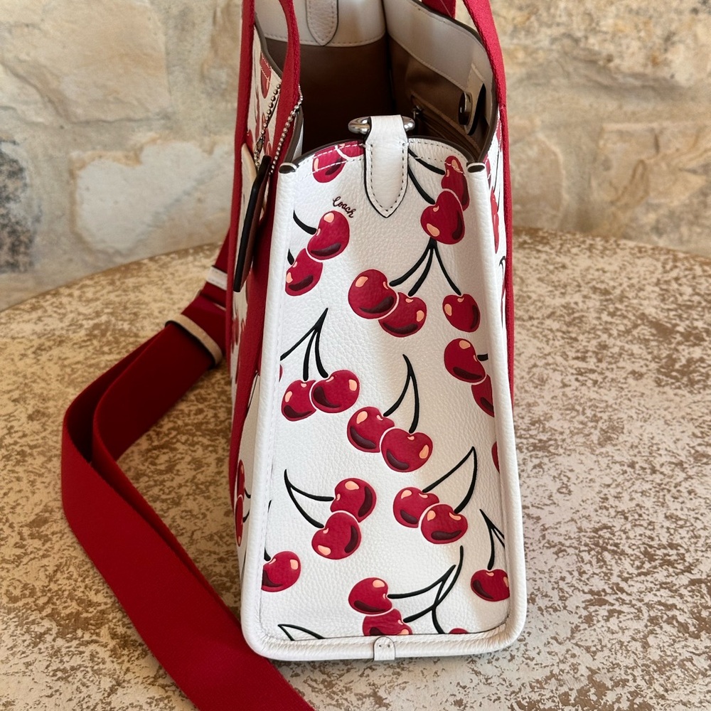 Coach - Picture 8 of 16